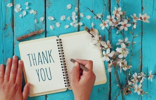 Diario della gratitudine: perché iniziarlo e come scegliere quello giusto