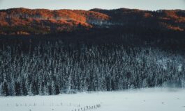 bambino fatto scendere dal bus