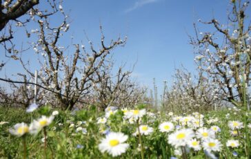 Famiglia nel bosco: Trevallion preoccupato per i figli