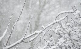 famiglia bloccata neve