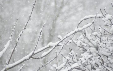 famiglia bloccata neve