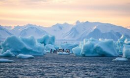 la groenlandia di trump implicazioni per leuropa e la nato 1769055769 265x160