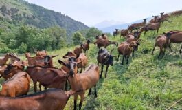 Quando la passione per la montagna diventa un progetto concreto