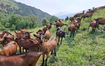 Quando la passione per la montagna diventa un progetto concreto