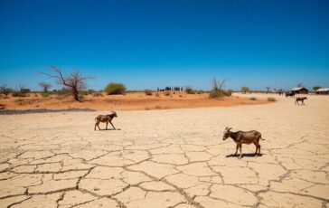 leffetto del cambiamento climatico in africa un viaggio dal kenya al mozambico 1769593210 364x230