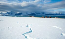 tensioni tra stati uniti e danimarca il conflitto sulla groenlandia 1767931251 265x160