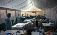virus nipah analisi completa della situazione attuale in india 1769731914