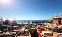 attivisti sudafricani mobilitano una flotta massiccia per sostenere gaza 1770320091 265x160