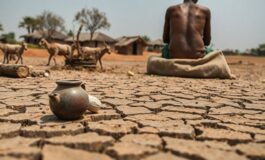 crisi alimentare in somalia 65 milioni minacciati dalla siccita e dai tagli agli aiuti 1772029027 265x160