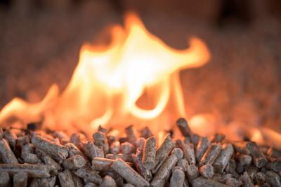Nomisma, una famiglia su due considera il calore a biomassa in alternativa al gas