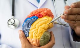 featured 3581423 265x160