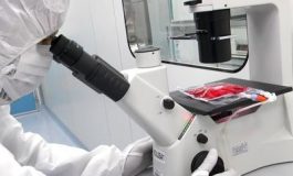 featured 3581427 265x160