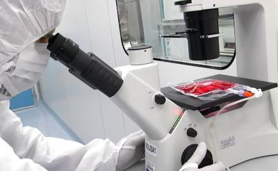 Cellule Car-T e malattie autoimmuni, studio del Bambino Ges&ugrave; conferma l'efficacia