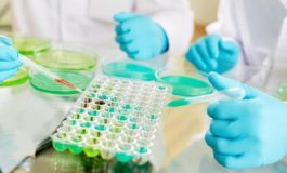 featured 3581655 265x160