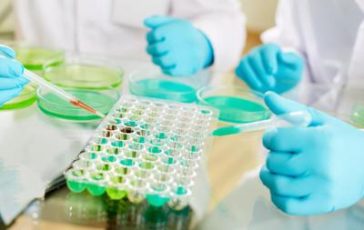 featured 3581655 364x230