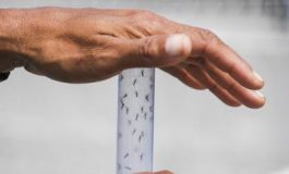 featured 3581740 265x160