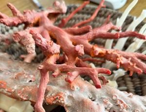 featured 3582070 300x230