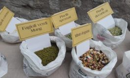 featured 3582583 265x160