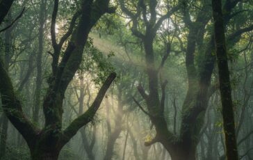 gemini generated image 7i86do7i86do7i86 364x230