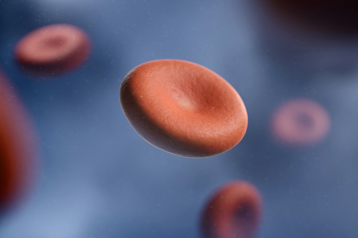 I principali sintomi della leucemia mieloide da non sottovalutare: quando rivolgersi ad un medico