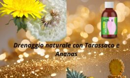 image 09312dc6 f190 497f 9d2c e2fdb4f7f2da 265x160