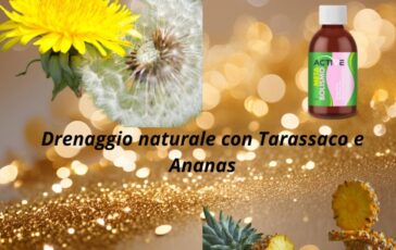 image 09312dc6 f190 497f 9d2c e2fdb4f7f2da