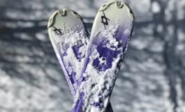 001-tigre-la-salle-lotterà-neve