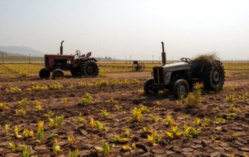 israele sotto accusa uso di sostanze chimiche in siria e libano 1770730931 364x230