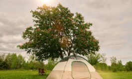 lan gao czx47ozmj2g unsplash 265x160