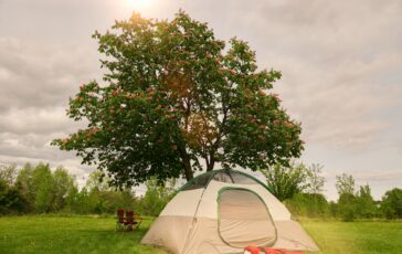 lan gao czx47ozmj2g unsplash 364x230