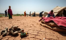 nuove tensioni tra etiopia ed eritrea e il rischio di un conflitto che travolge il tigray 1771410646 265x160