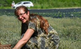 Radici alpine e spirito imprenditoriale: quando il territorio diventa futuro