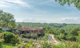 Un’esperienza enologica tra gusto, ospitalità e paesaggio