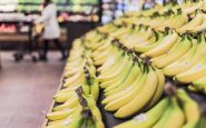 banana tra potassio e rischio glicemia meglio acerba o matura cosa dice lesperto 2