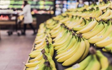 banana tra potassio e rischio glicemia meglio acerba o matura cosa dice lesperto 2