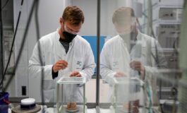 Carcinoma polmonare ok Ema a lurbinectedina e immunoterapia in prima linea 265x160