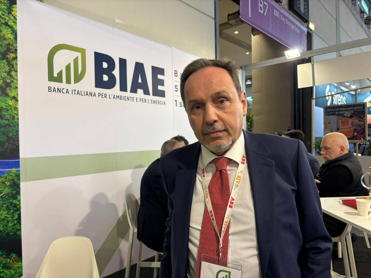 Cavallero (Biae): "Prima banca focalizzata su energie alternative e transizione"