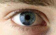 chirurgia vitroretinica al miulli di bari formazione sulla gestione dei casi complessi 2
