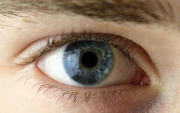 Chirurgia vitroretinica al Miulli di Bari formazione sulla gestione dei casi complessi 364x230