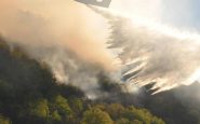 clima e foreste europee incendi tempeste e infestazioni in aumento 2