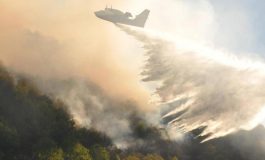 Clima e foreste europee incendi tempeste e infestazioni in aumento 265x160