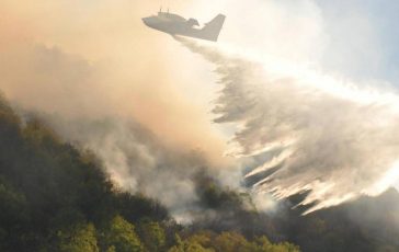 Clima e foreste europee incendi tempeste e infestazioni in aumento 364x230