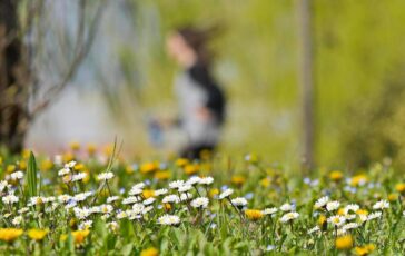 Colpo di coda dellinverno ma per Pasqua cambia tutto 364x230