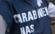 controlli nas nelle mense ospedaliere irregolarita nel 427 dei casi 2