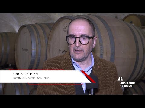 De Biasi, San Felice: "Punto di forza del progetto è mantenimento e implementazione della