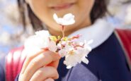 e il primo giorno di primavera ecco perche lequinozio cade oggi 20 marzo 2