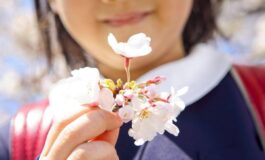 E il primo giorno di primavera ecco perche lequinozio cade oggi 20 marzo 265x160