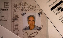 Epstein e il mistero della guardia giurata i punti oscuri sullultima persona ad averlo visto vivo 265x160