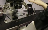 fecondazione la salute del padre ha un ruolo anche prima del concepimento 2
