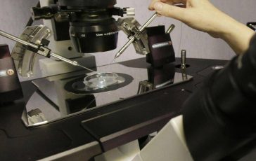 fecondazione la salute del padre ha un ruolo anche prima del concepimento 2